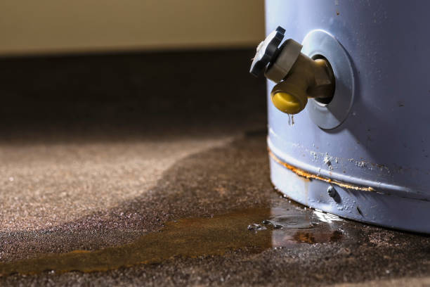 Best Water damage restoration near me  in Wade Hampton, SC