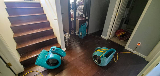 Best Residential water damage restoration  in Wade Hampton, SC