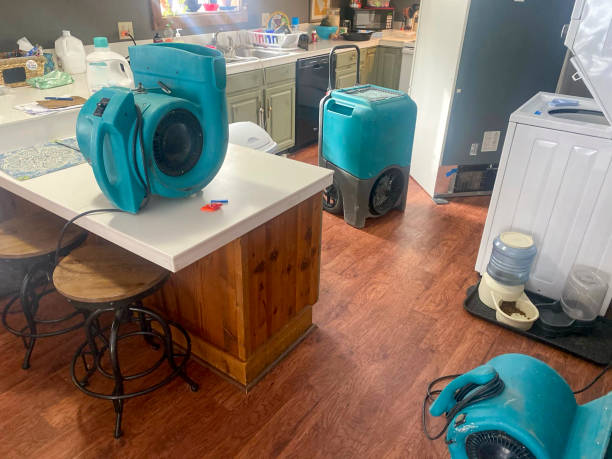  Wade Hampton, SC Water damage restoration Pros