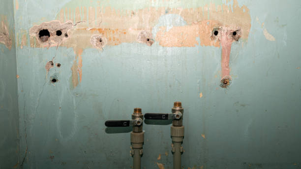 Best Flood restoration services  in Wade Hampton, SC