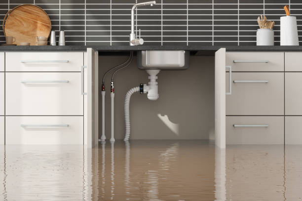Best Flooded house restoration  in Wade Hampton, SC