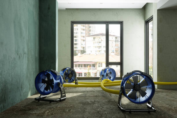 Best Professional water damage repair  in Wade Hampton, SC